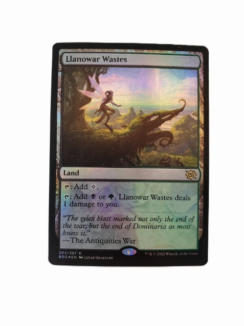 Llanowar Wastes (Foil)