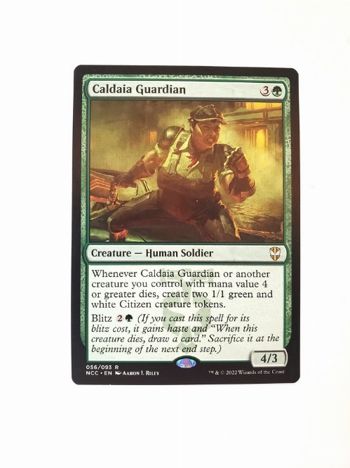 Caldaia Guardian