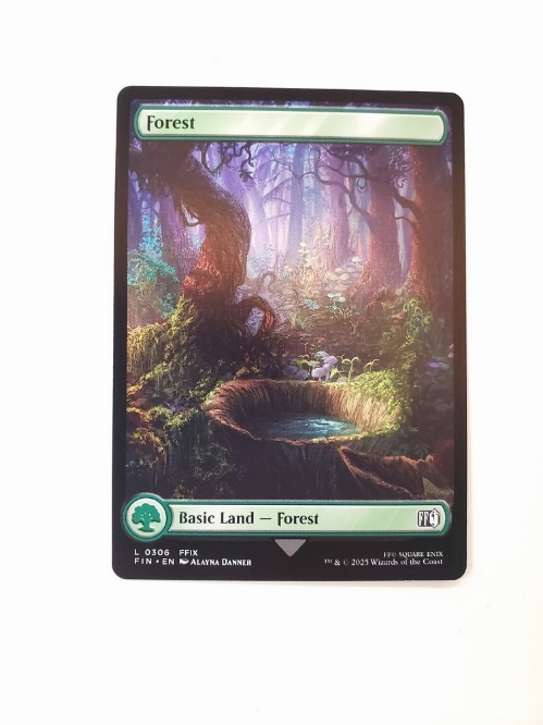 Forest (0306)