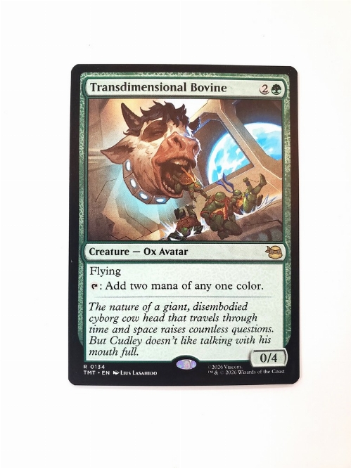 Transdimensional Bovine