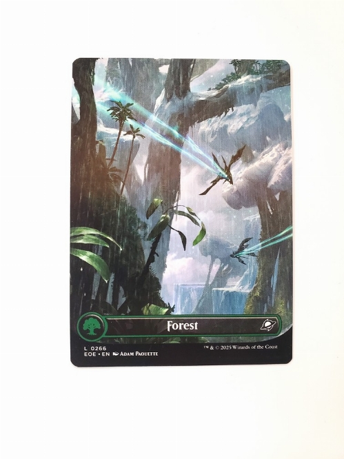 Forest (0266) (Borderless)