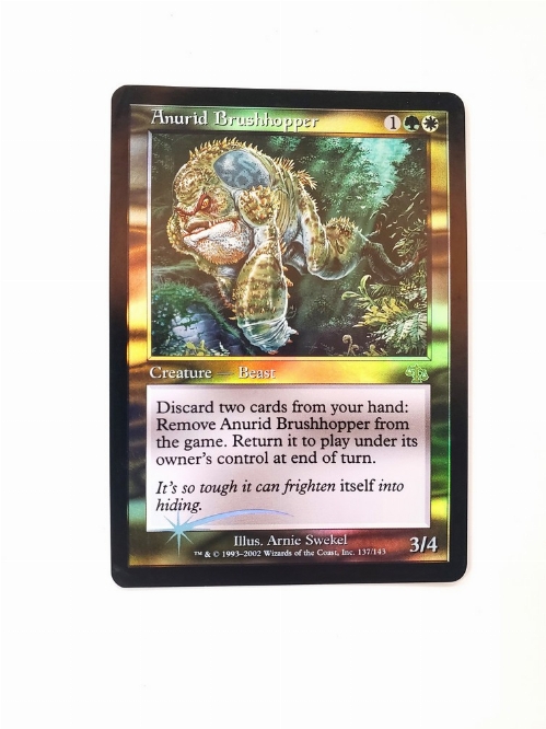 Anurid Brushhopper (Foil)