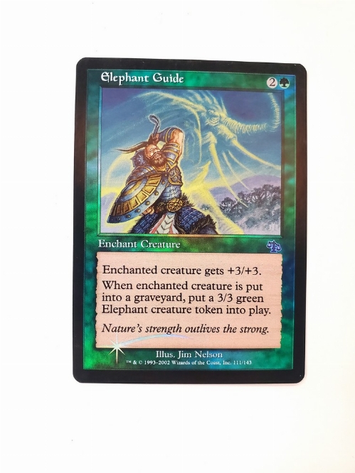 Elephant Guide (Foil)
