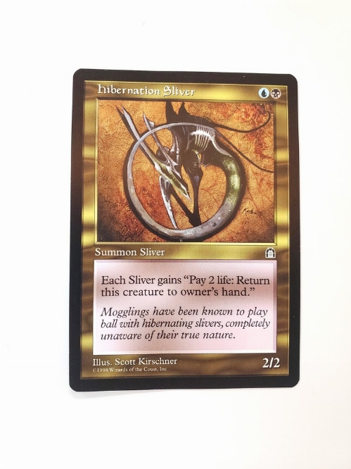Hibernation Sliver