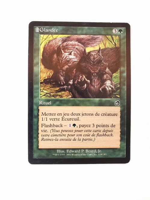 Acorn Harvest (Francaise)