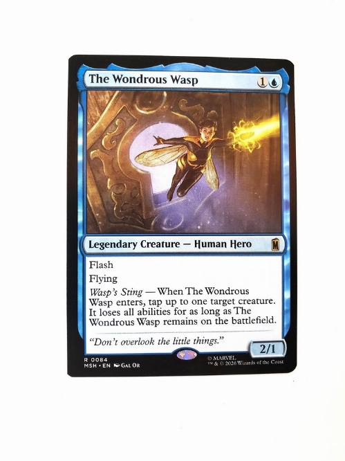 The Wondrous Wasp