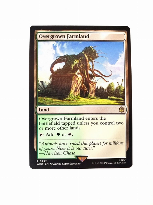 Overgrown Farmland