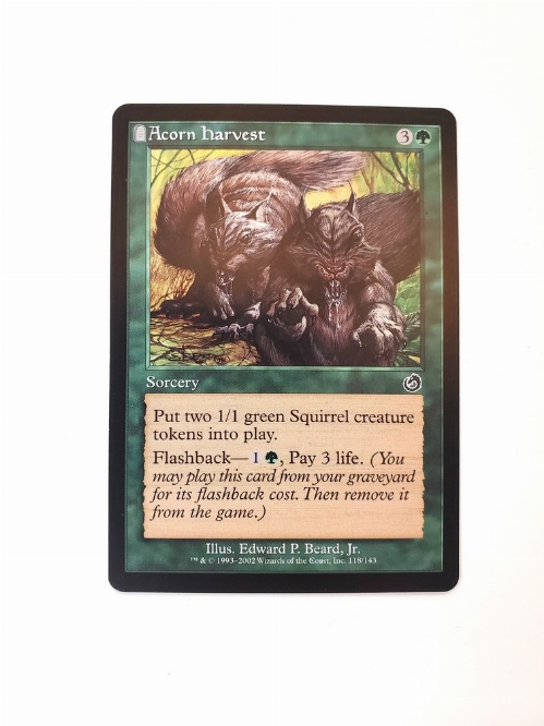 Acorn Harvest
